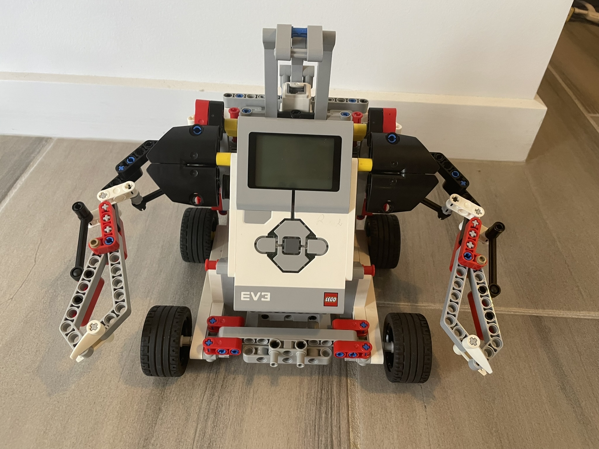 Bluey, the Velociraptor (EV three)