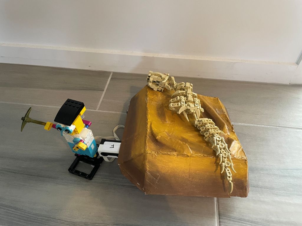 Fossil dig
