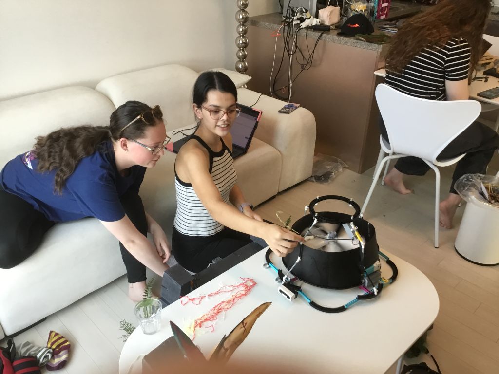 Preparation